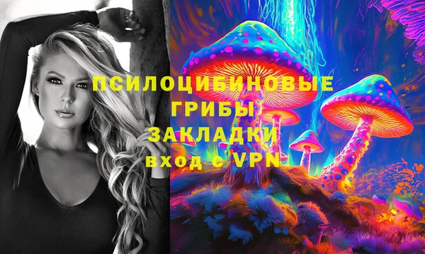 твердый Сатка