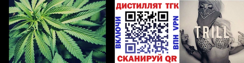 Дистиллят ТГК гашишное масло  где найти наркотики  Завитинск 